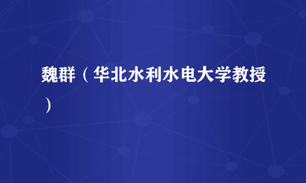 魏群(华北水利水电大学教授)