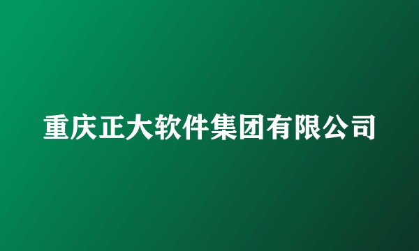重庆正大软件集团有限公司