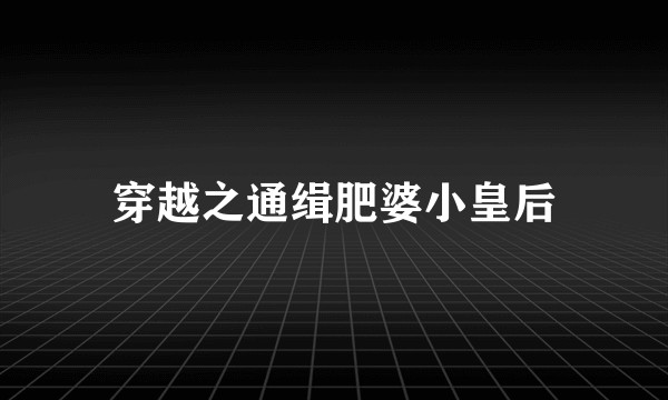 穿越之通缉肥婆小皇后