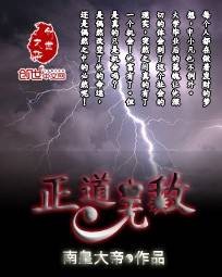 正道无敌（小说）