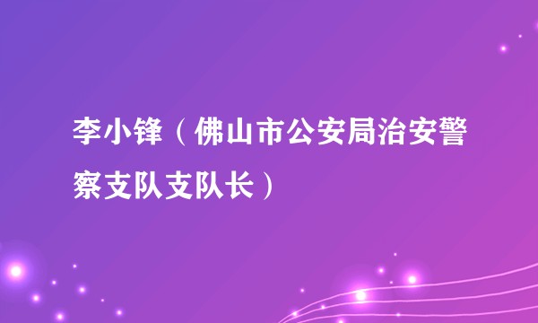 李小锋(佛山市公安局治安警察支队支队长)