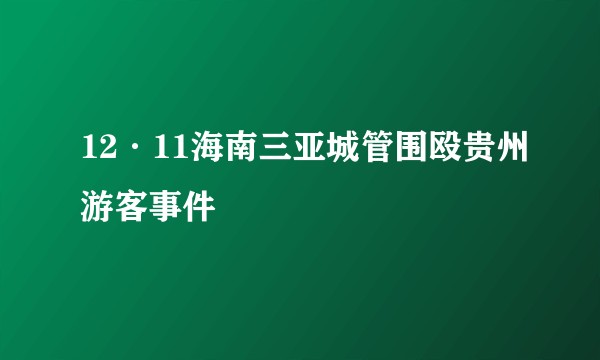 12·11海南三亚城管围殴贵州游客事件
