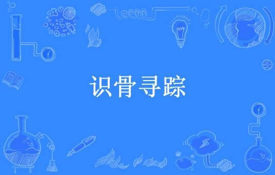 识骨寻踪(飞狐所著小说)