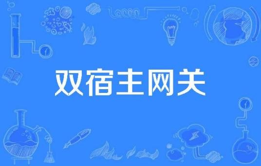 双宿主网关
