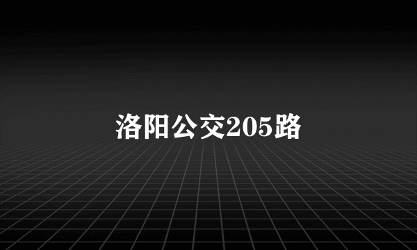 洛阳公交205路