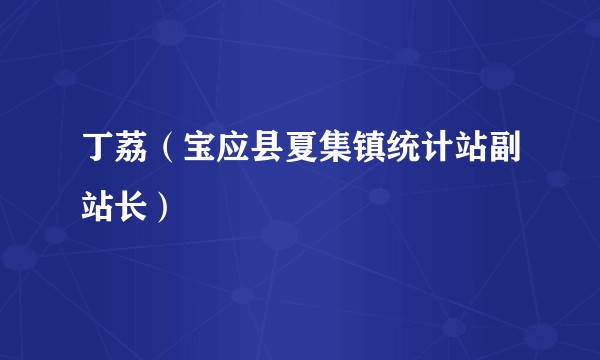 丁荔（宝应县夏集镇统计站副站长）
