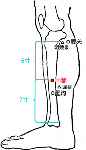 中都(经穴名)