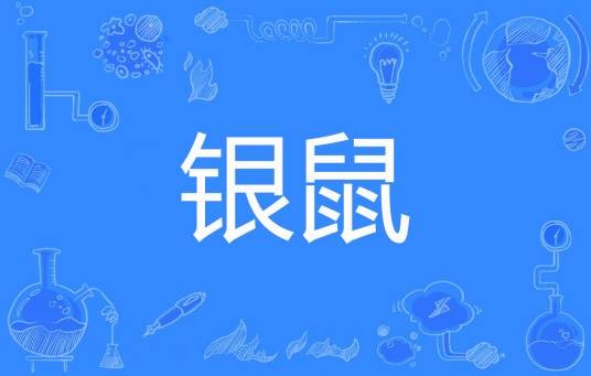 银鼠(夏刀鱼著网络小说)