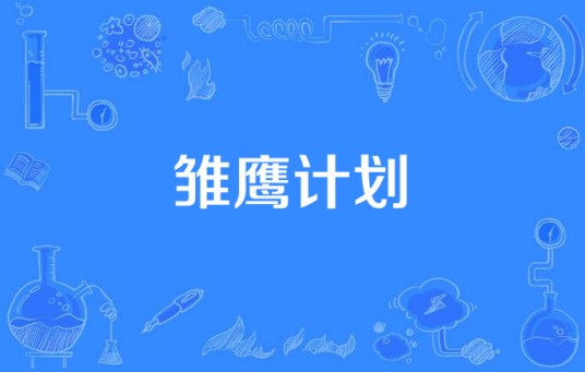 雏鹰计划（2015年中国拍摄影片）