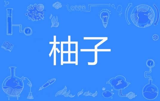 柚子(松子著网络小说)