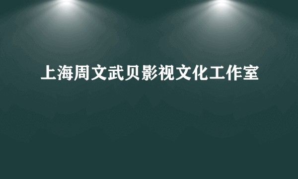 上海周文武贝影视文化工作室