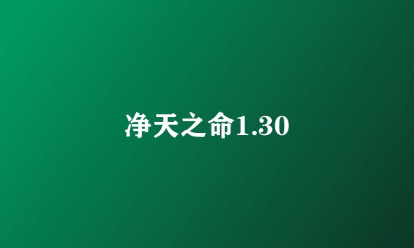 净天之命1.30