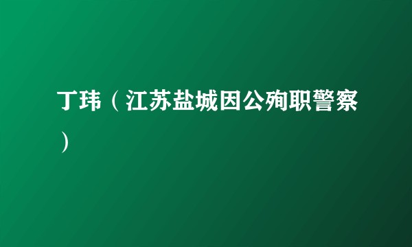 丁玮(江苏盐城因公殉职警察)
