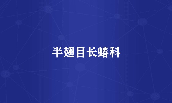 半翅目长蝽科