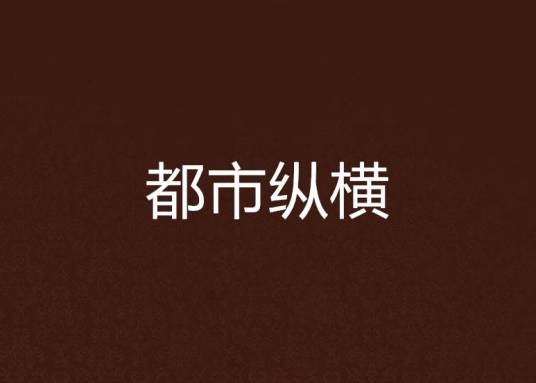 都市纵横（晓枫创作的网络小说）