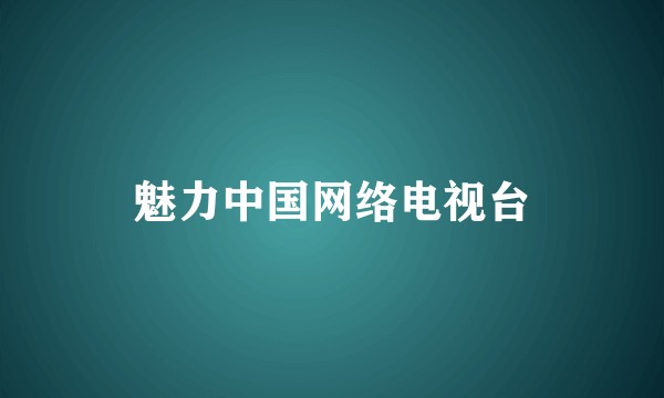 魅力中国网络电视台