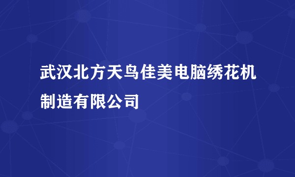 武汉北方天鸟佳美电脑绣花机制造有限公司