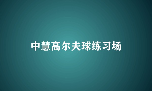 中慧高尔夫球练习场
