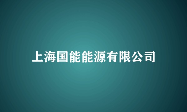 上海国能能源有限公司