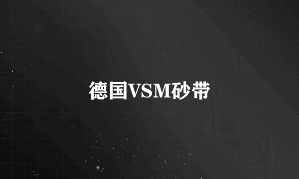德国VSM砂带