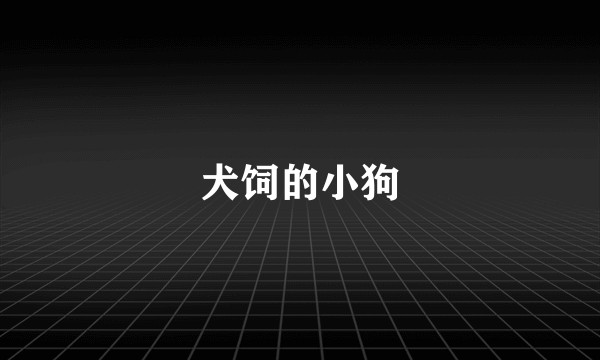 犬饲的小狗