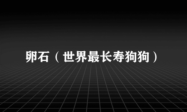 卵石（世界最长寿狗狗）