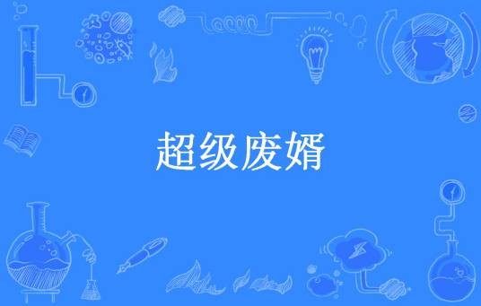 超级废婿（你今天嗨了嘛所著小说）