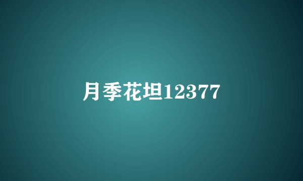 月季花坦12377
