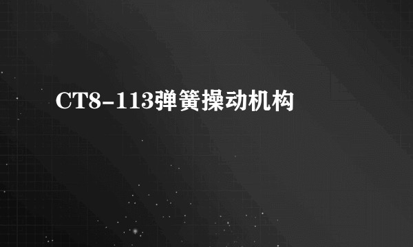 CT8-113弹簧操动机构