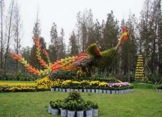 成都青白江金秋菊花节