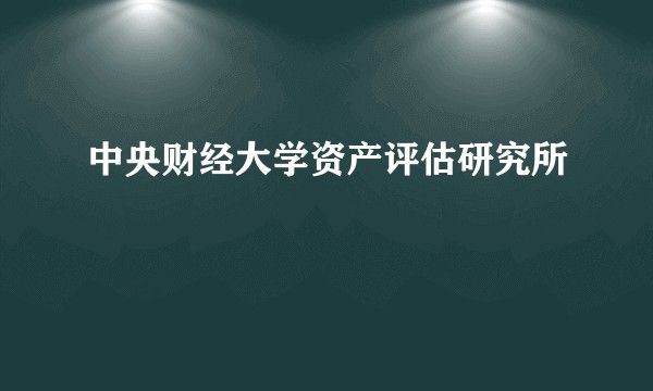 中央财经大学资产评估研究所