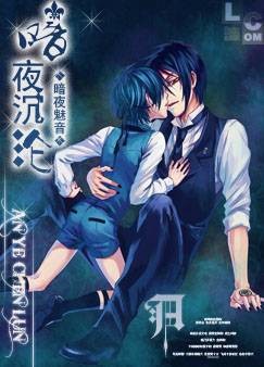 暗夜沉沦（暗夜魅音创作的小说作品）