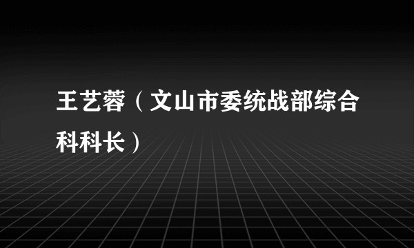 王艺蓉（文山市委统战部综合科科长）
