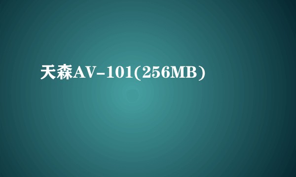 天森AV-101(256MB)