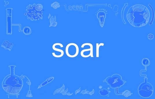 soar（英文单词）