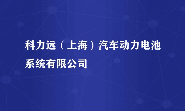 科力远（上海）汽车动力电池系统有限公司
