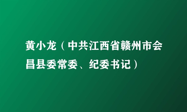 黄小龙（中共江西省赣州市会昌县委常委、纪委书记）