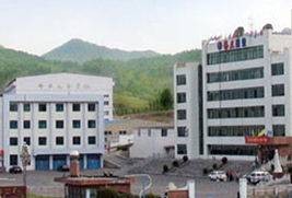 修正药业集团长春高新制药有限公司