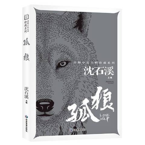 孤狼（2020年应急管理出版社出版的图书）