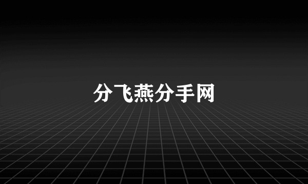 分飞燕分手网