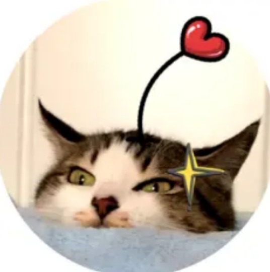 猫神辣椒酱