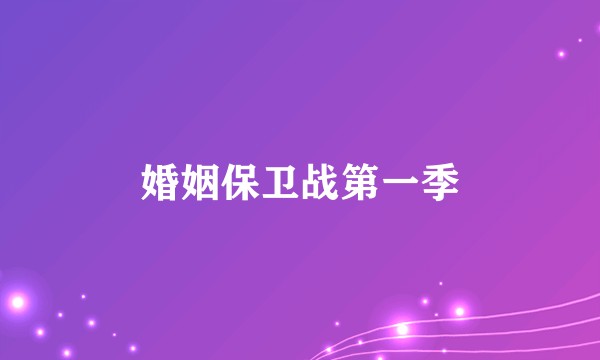 婚姻保卫战第一季