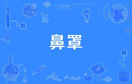 鼻罩