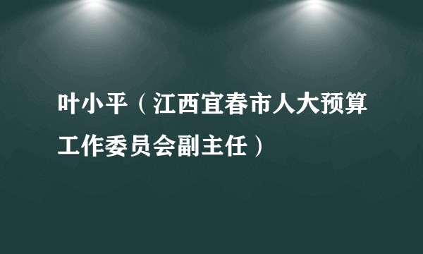 叶小平(江西宜春市人大预算工作委员会副主任)
