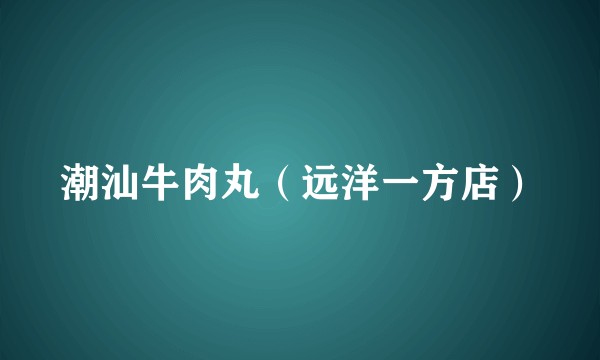 潮汕牛肉丸(远洋一方店)