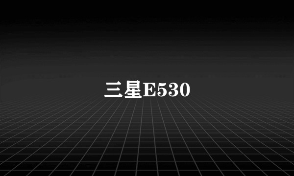 三星E530