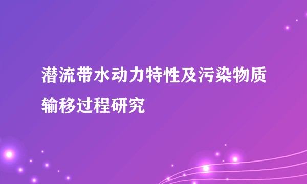 潜流带水动力特性及污染物质输移过程研究