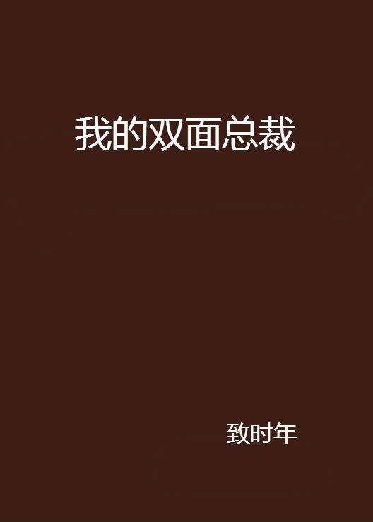 我的双面总裁(17K小说网连载的小说)