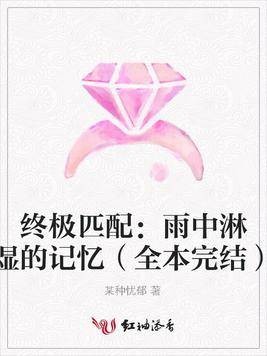 终极匹配：雨中淋湿的记忆（全本完结）