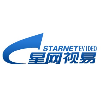 星网视易